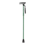 MD by Drive Air Cane, Forest