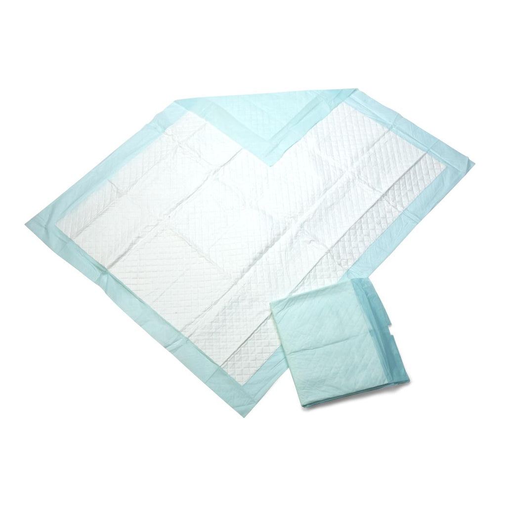 Disposable Deluxe Underpad, 30" x 36" (case of 100)