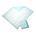Disposable Deluxe Underpad, 30" x 36" (case of 100)