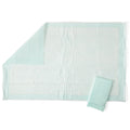 Disposable Standard Underpad, 23" x 36" (case of 150)