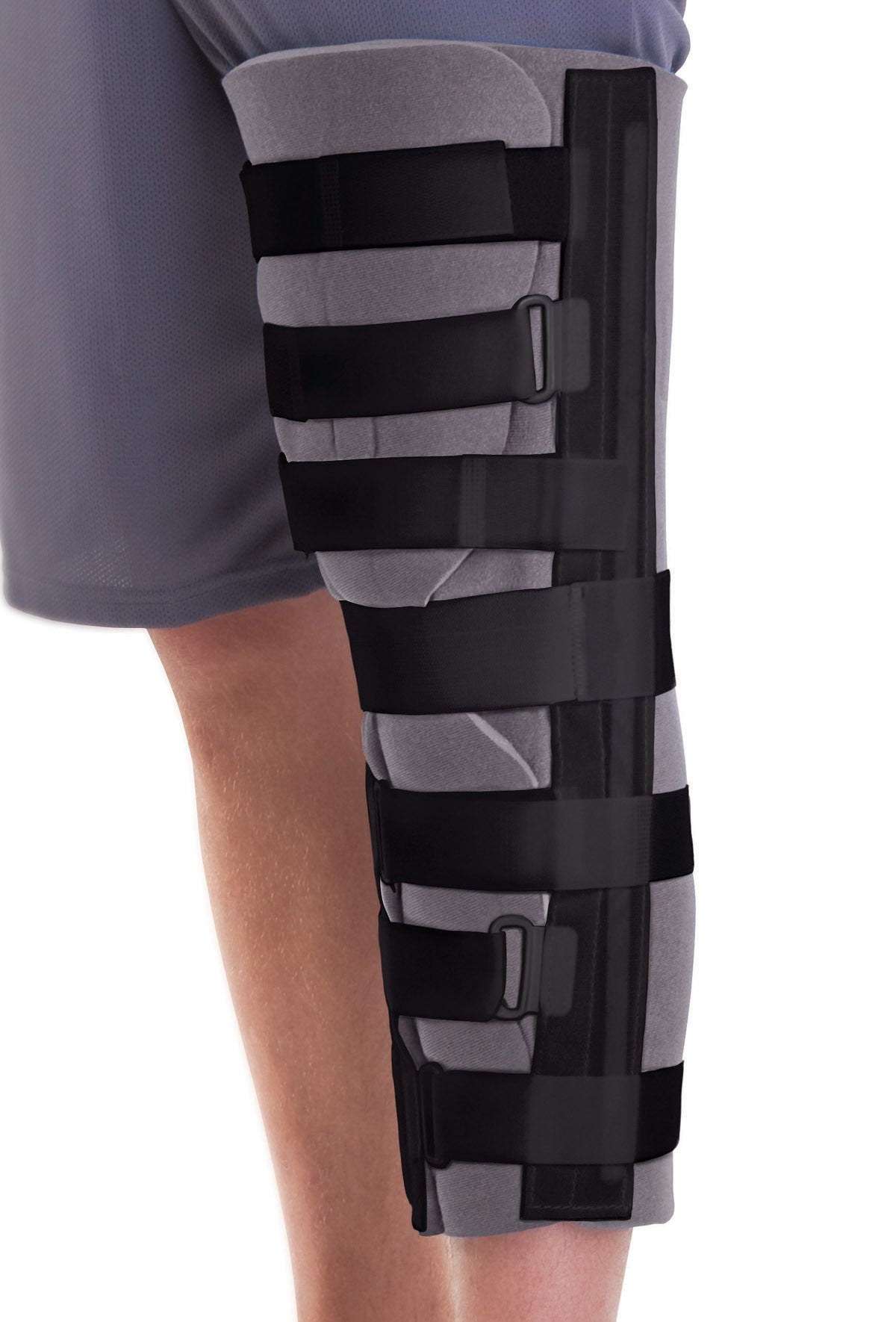 Knee