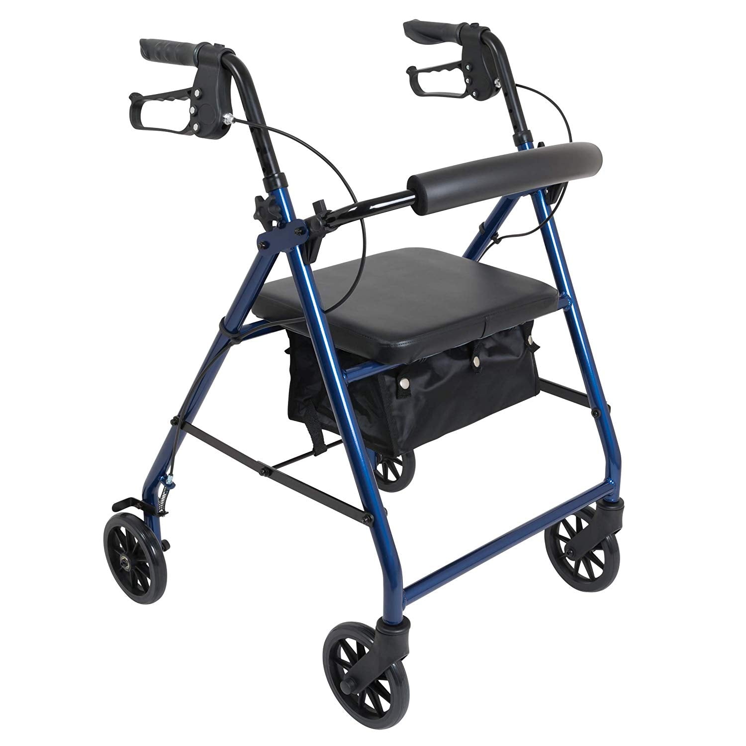 ProBasics Aluminum Rollator with 6” Wheels, Blue